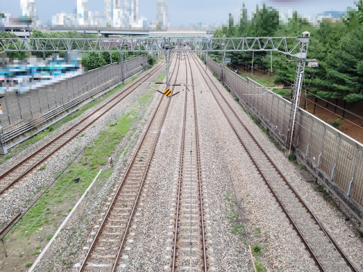  20220620-20220626 주간일기 3회차