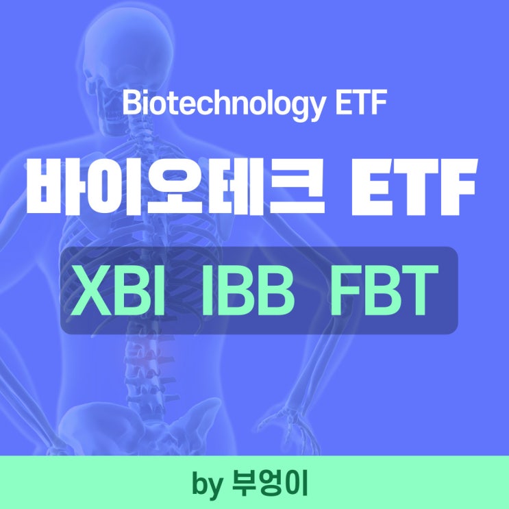 미국 바이오테크 ETF - XBI, IBB, FBT (생명공학, Biotechnology)