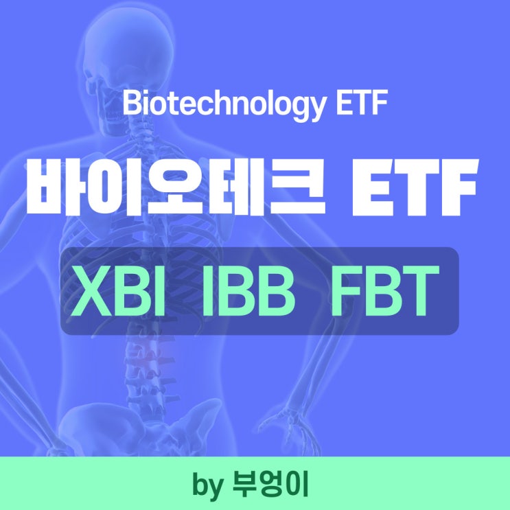 미국 바이오테크 ETF - XBI, IBB, FBT (생명공학, Biotechnology) 미국 바이오테크 ETF - XBI, IBB, FBT (생명공학, Biotechnology)
