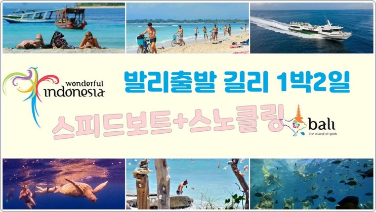  발리에서 길리 스노클링 투어 패키지