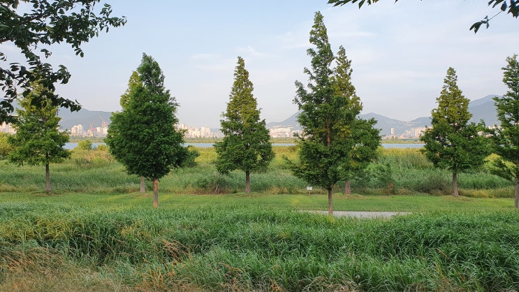  주간일기 세번째