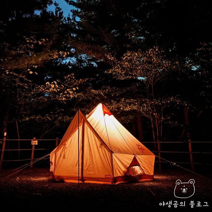  첨스 텐트 부비하우스 TC4 감성갑이네요