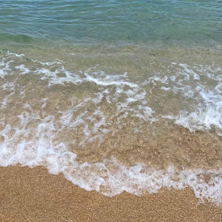  주간일기 챌린지(3)