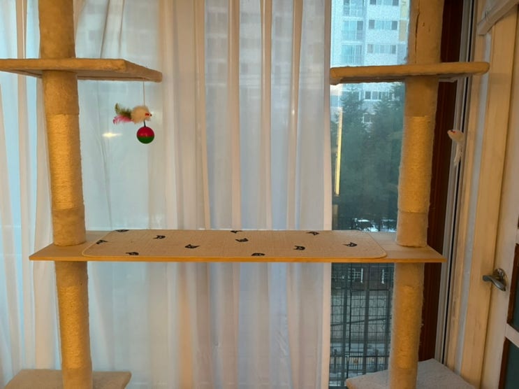  캣폴 DIY 50만->8만해결 캣브릿지타워 캣타워