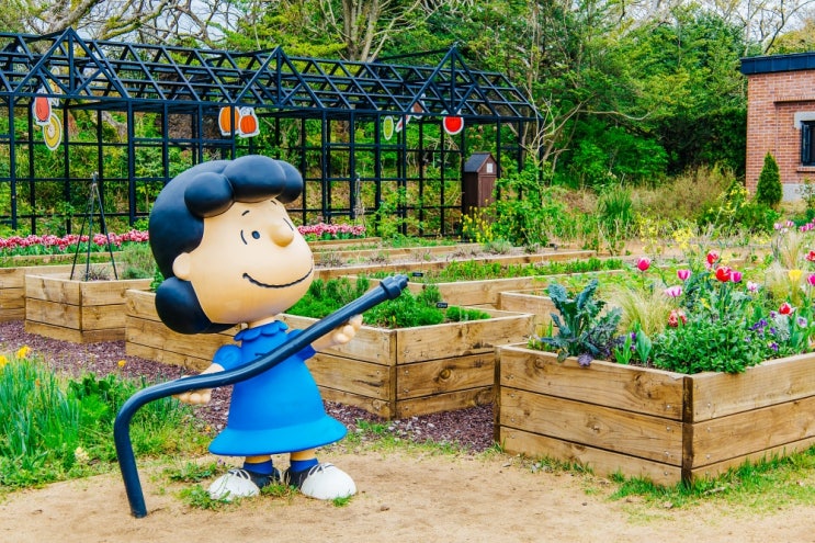제주 동쪽 구좌 성산 가볼만한곳 스누피가든 포함 맛집까지 여행코스 제주 동쪽 구좌 성산 가볼만한곳 스누피가든 포함 맛집까지 여행코스