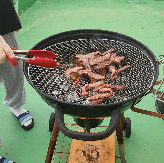  네번째 주간일기 제출합니다, 특별한 한 주