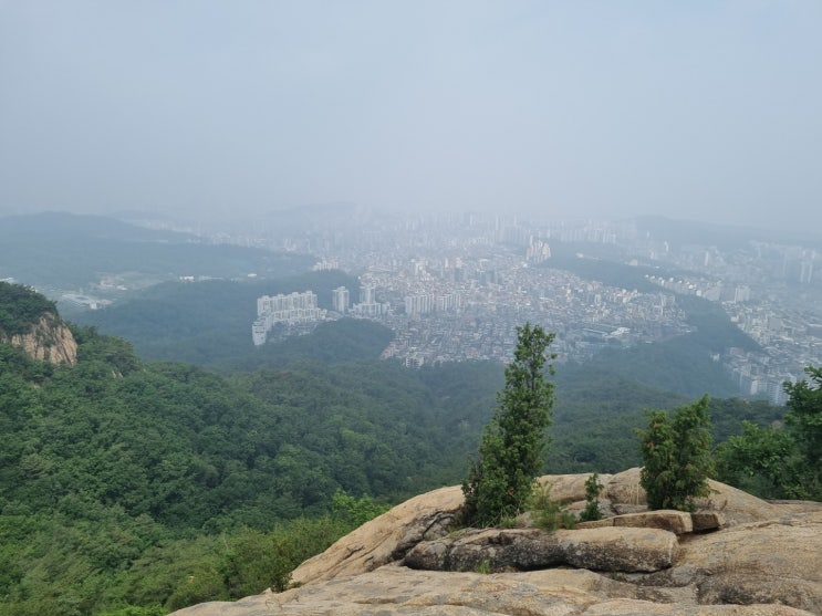  대전에서 올라온 회사 사람과 관악산 등산(사당역, 리 김밥, 과천역, 향교집, 이디아커피, 과천 주공10단지)