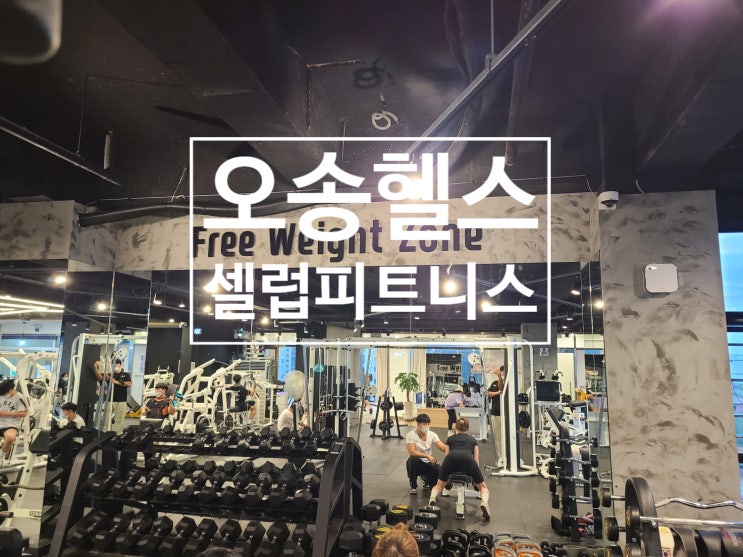  오송헬스,오송운동:: 최대규모 피트니스 <셀럽피트니스>