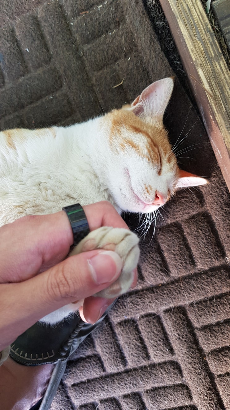  일상 - 2022.06.26