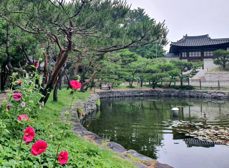 서울 가볼만한곳 입장료 무료 관광지 남산골 한옥마을 서울 가볼만한곳 입장료 무료 관광지 남산골 한옥마을