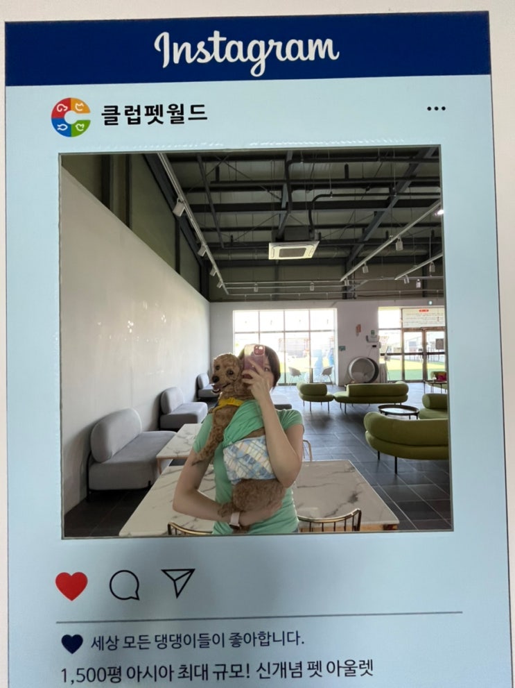  대구 북구 유통단지 클럽펫월드 검단점 : 개 천국을 찾아서