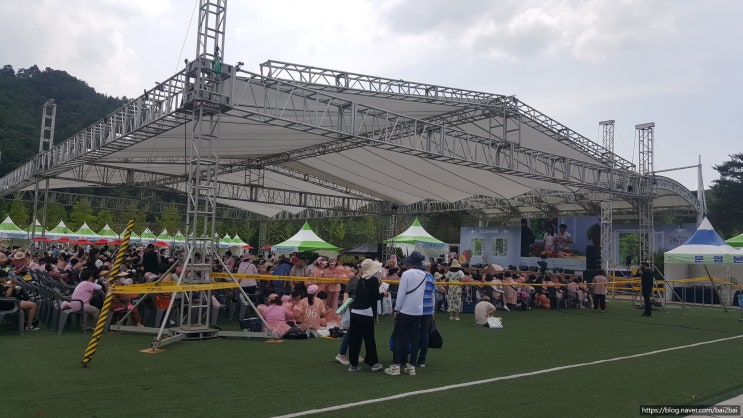  김천자두축제 방문기(행사장 주소 및 주차장)-6월 경북 행사