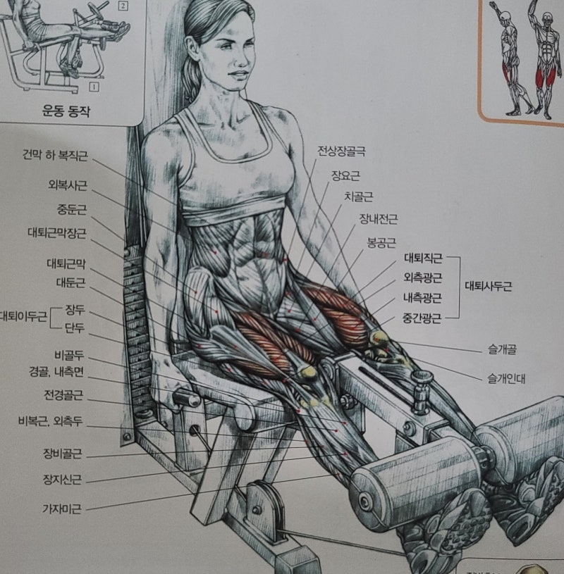초보자도 상급자도 모두 하는 필수 운동! : 네이버 블로그 초보자도 상급자도 모두 하는 필수 운동! : 네이버 블로그