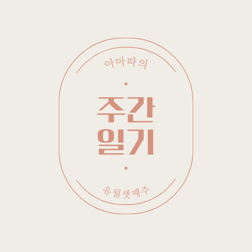  W3 아마따의 주간일기
