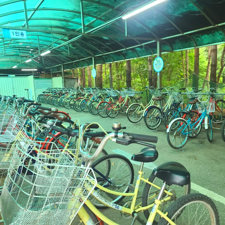 인천대공원 자전거대여 요금, 간식 먹거리