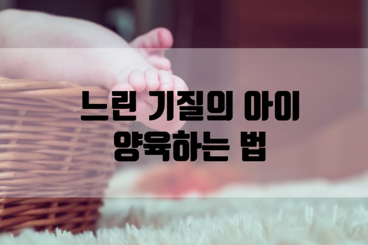  느린 기질의 아이 어떻게 교육해야 할까