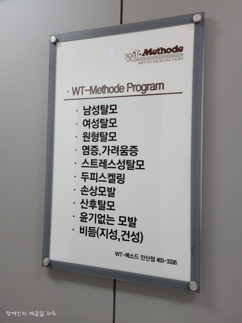 중앙동 WT메소드: 안산탈모, 두피케어 받기