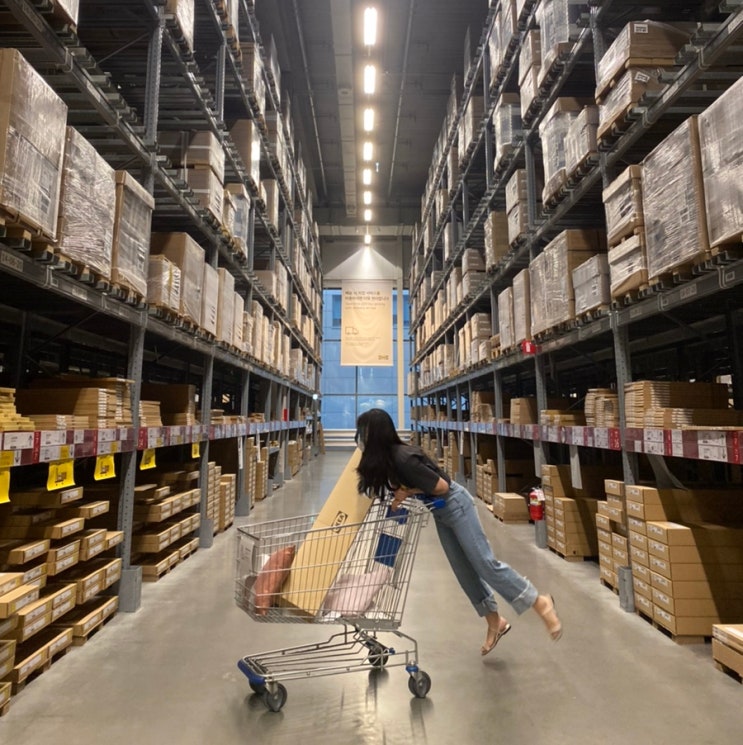  오일간의 서울여정