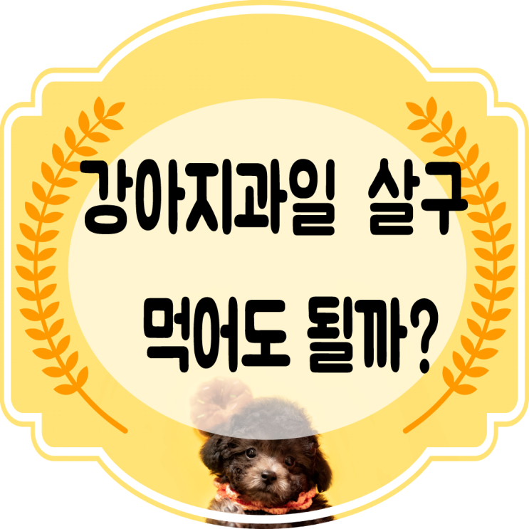  강아지살구 먹어도 될까? 씨는 어떻게? (과일 이야기)