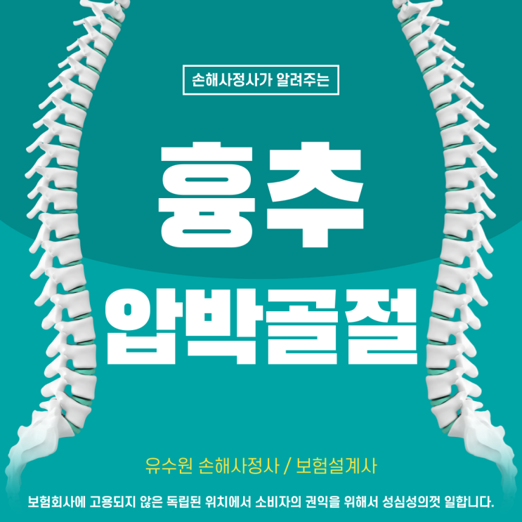  흉추압박골절 별거 없습니다. 이 글 하나로 해결해 드립니다.