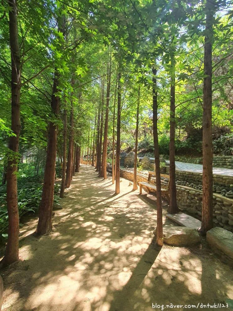  충주 가볼만한 곳 우림정원