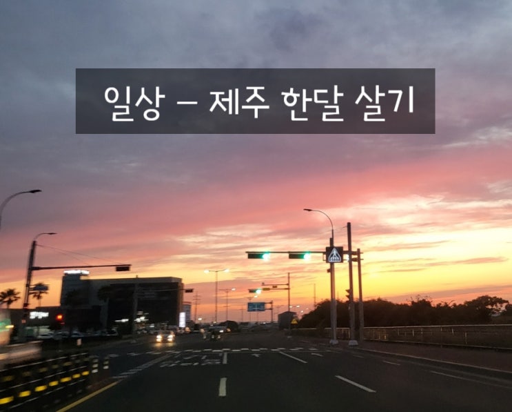 제주한달살기 - 포켓몬빵