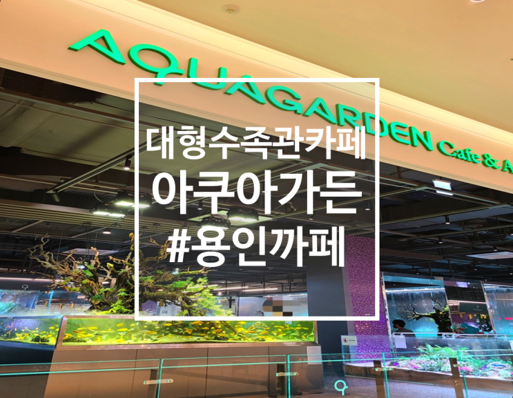  용인 이케아 근처 대형 수족관 카페, 아쿠아가든