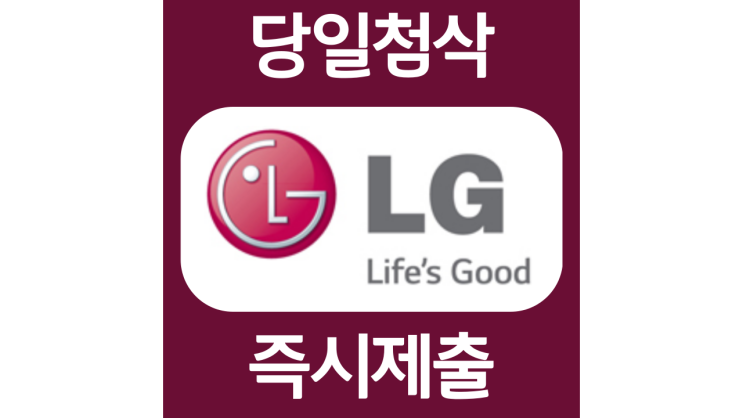 LG전자 인턴 자소서항목 자기소개서 문항 작성방법 첨삭받기 LG전자 인턴 자소서항목 자기소개서 문항 작성방법 첨삭받기