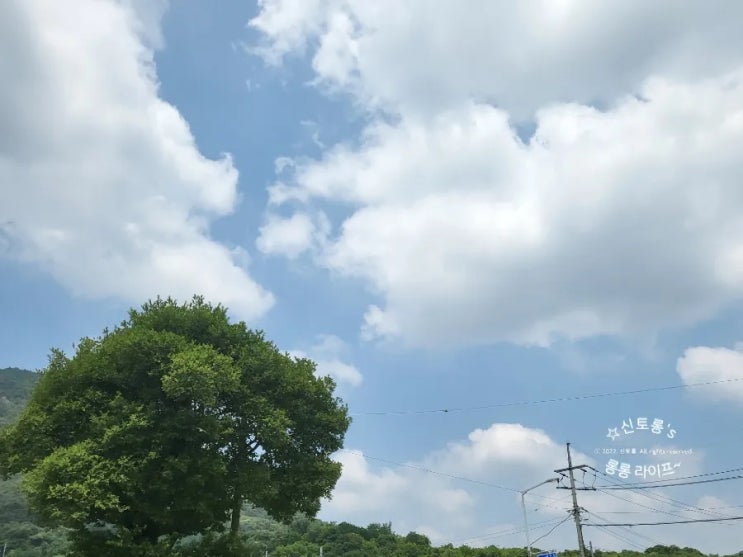  [블챔]신토롱's 롱롱 라이프~ 그리고 끄적거림...2022.6 정말 건강하게 한 주!!