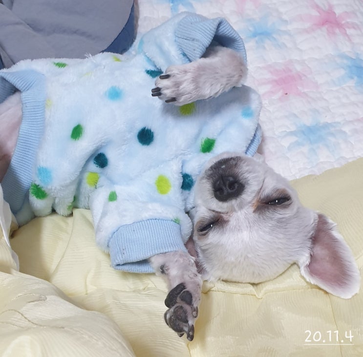  잘자요~