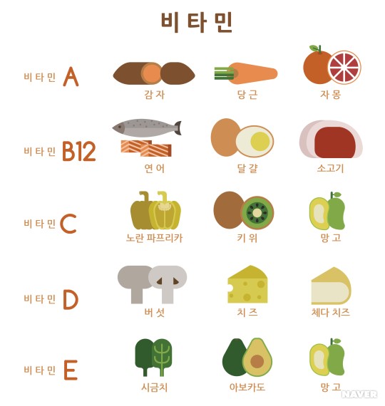  [비타민]비타민의 종류와 기능
