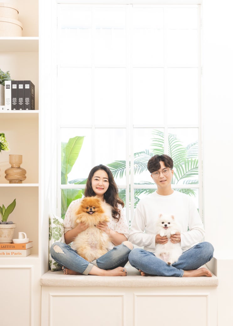  성남 애견 스튜디오 개족사진 찍기 좋은 디스모먼트 후기 (2022.06.19)