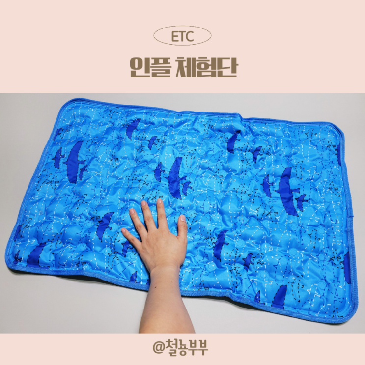  인플체험단에서 필요한 물품 블로그 체험단 하세요:)