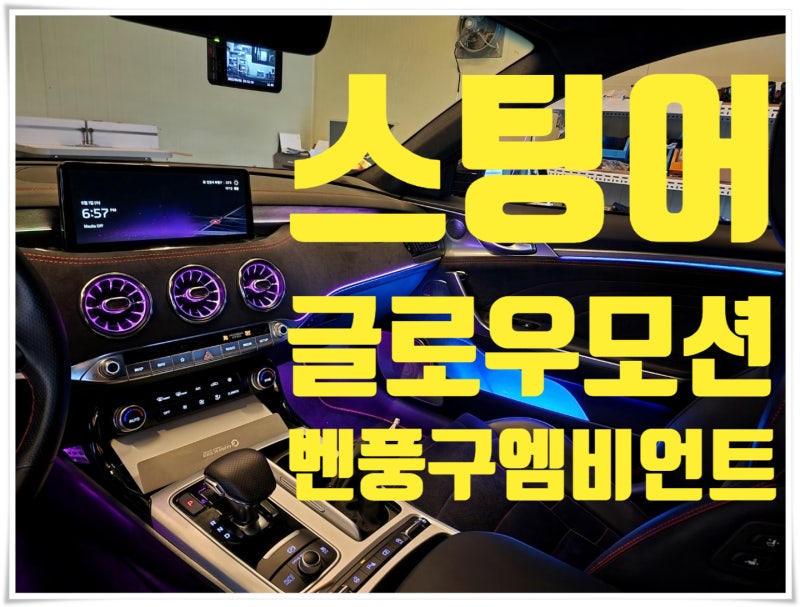 창원 의창구 / 엠비언트 / 기아 / 스팅어