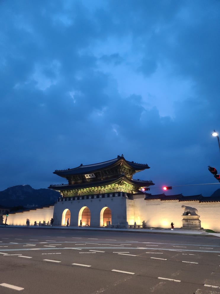 산책기록 6월 4주 산책기록 6월 4주