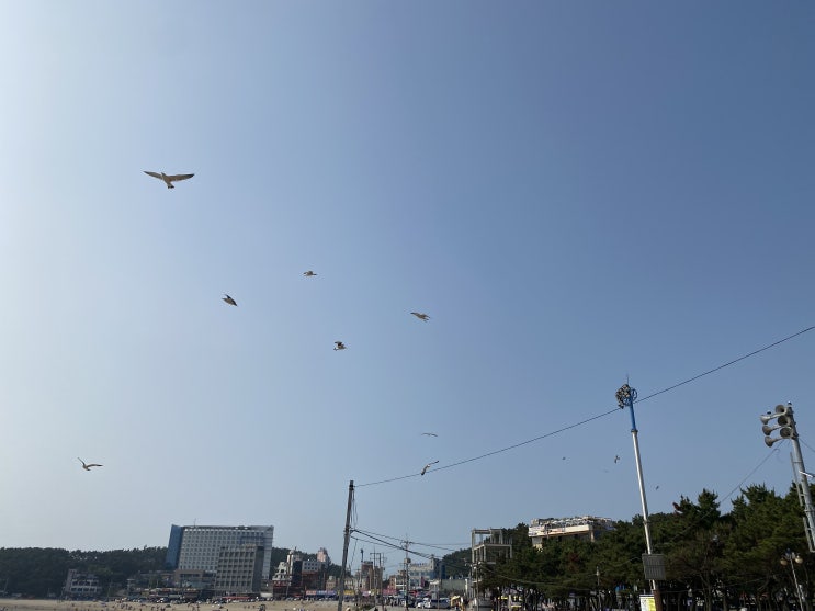  인천 을왕리 해수욕장 인천에서 가볼만한 여행 그리고 맛집 생선구이 꾸덕집