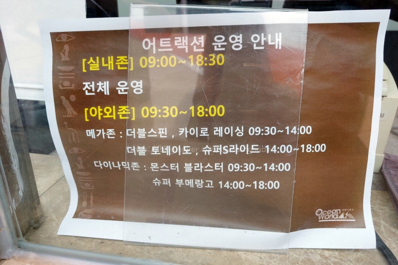 오션월드 준비물 샴푸 모자 크록스 꿀팁 등