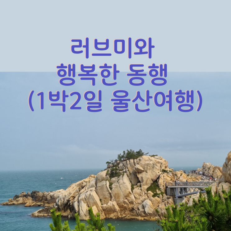 러브미와 행복한 동행 1박 2일 첫 엠티(울산 여행_완벽한 코스)