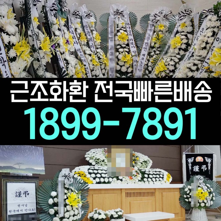  종로구 서울대학교병원장례식장 고인 추모꽃 근조화환조화 서울화환가격 당일배달 꽃집
