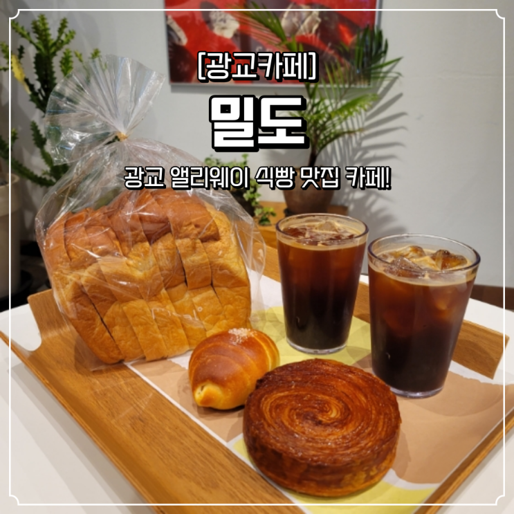  광교 앨리웨이 카페 밀도