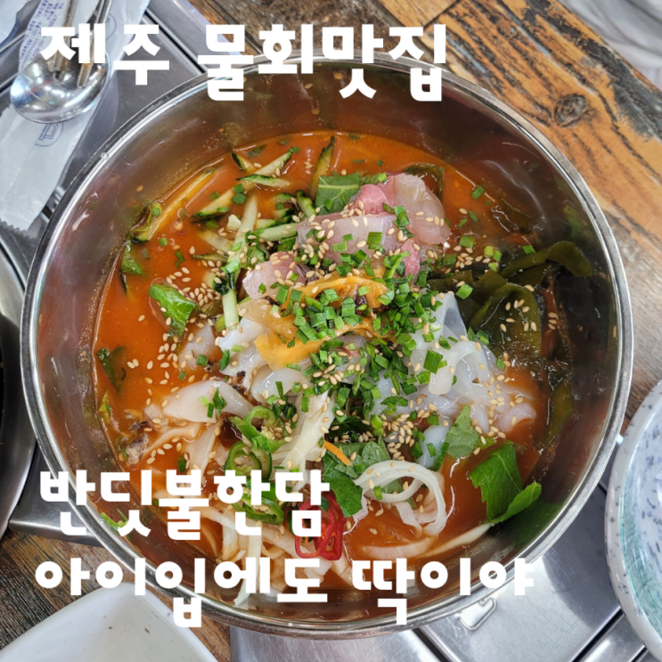  제주 물회맛집 반딧불한담 아이입에도 딱이야