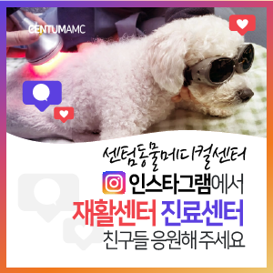  센텀동물메디컬센터 인스타그램에서 재활센터·진료센터 친구들 응원해 주세요!