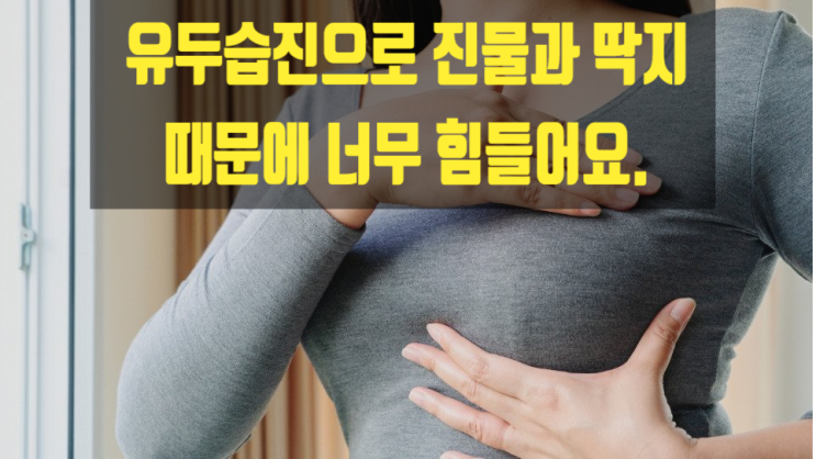  유두습진으로 진물과 딱지 때문에 너무 힘들어요.
