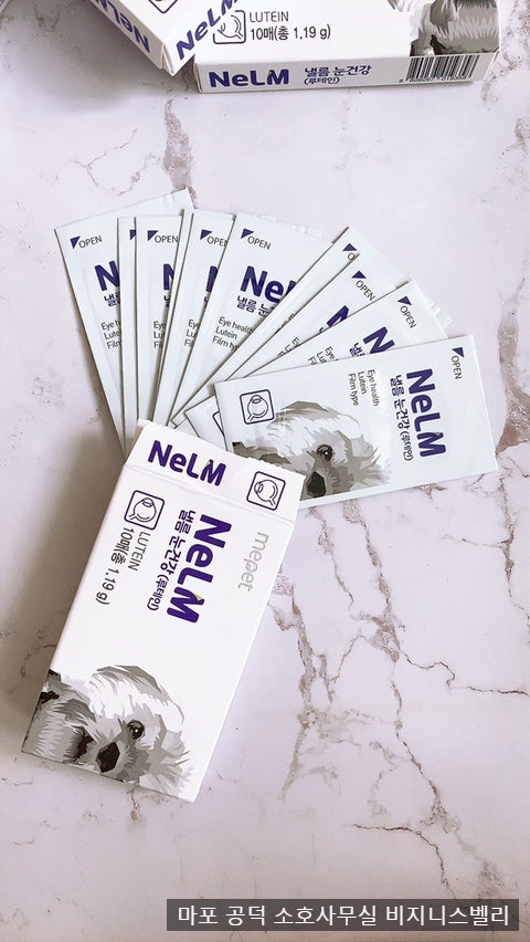 말티즈 노령견 백내장 눈건강 미펫 낼름 필름 영양제
