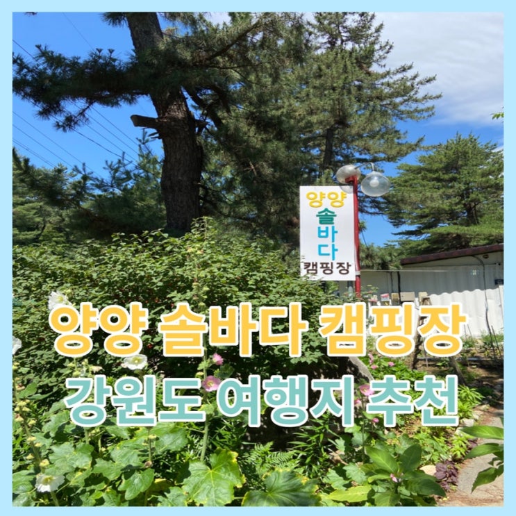  양양 솔바다 캠핑장 다녀온 후기(강원도 여행지 추천)
