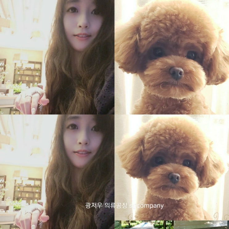  광저우) 광저우 디자이너 일상 무한 반복 루틴 ;)