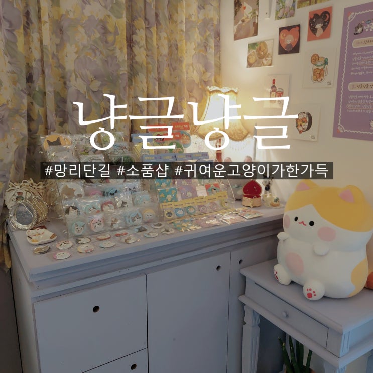  망원동 소품샵 고양이 집사라면 들려볼만한 냥글냥글