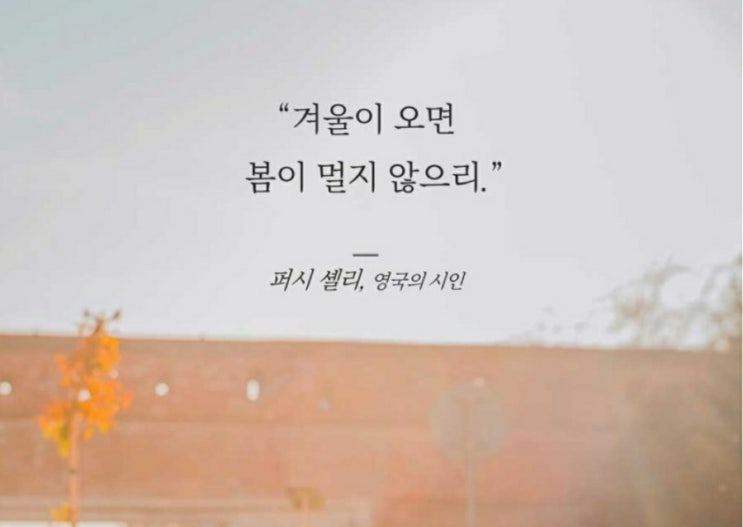  부거사이 [부동산 뉴스와 블로그] 6월 27일(월)