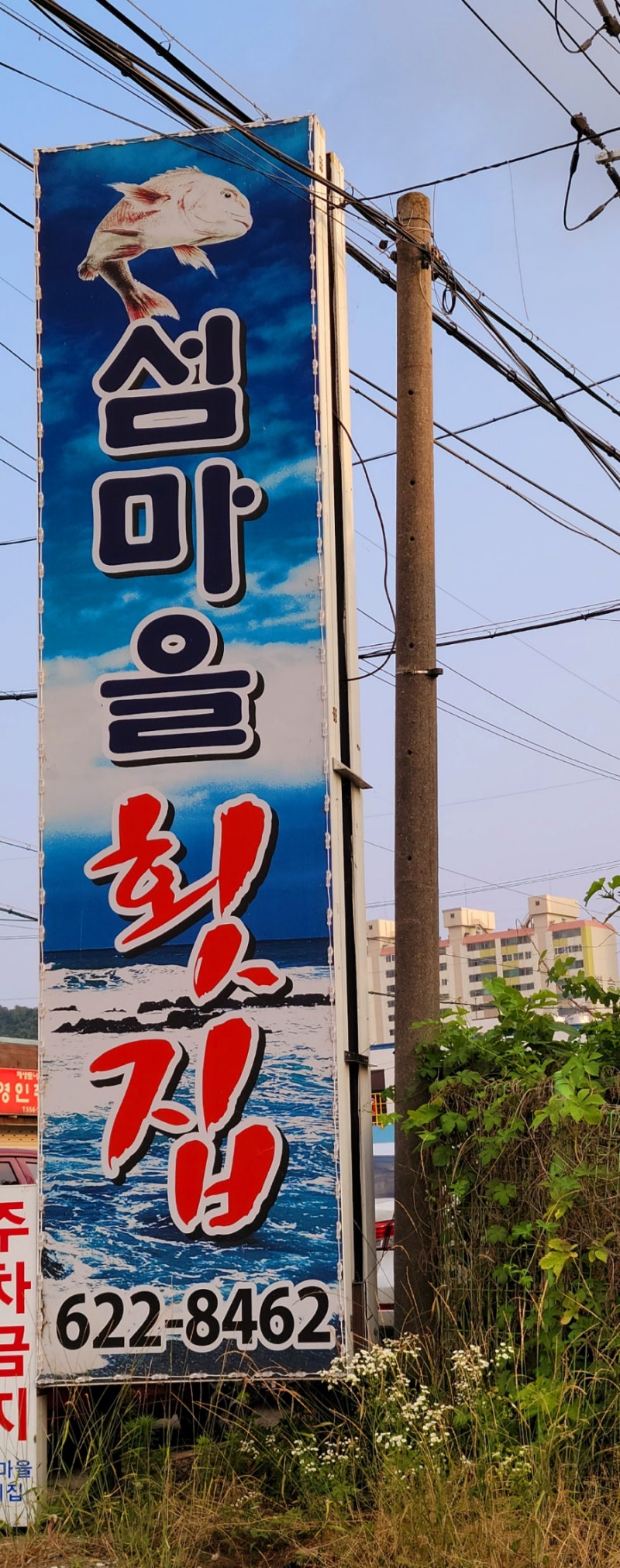 천안 성거읍 섬마을횟집