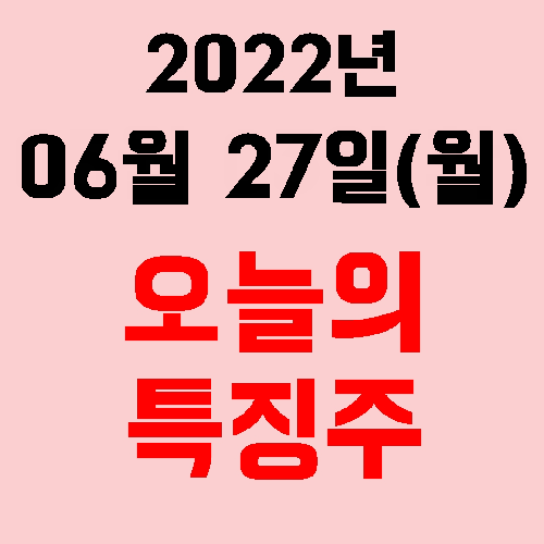  오늘의 시장 특징주 2022년 06월 27일(월)